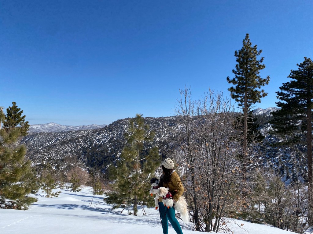 Big Bear Getaway&nbsp;House.